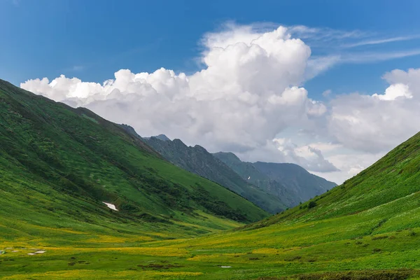 Krásné Zelené Rozkvetlé Alpské Louky Bzerpinské Římse Krasnaya Polyana Soči — Stock fotografie