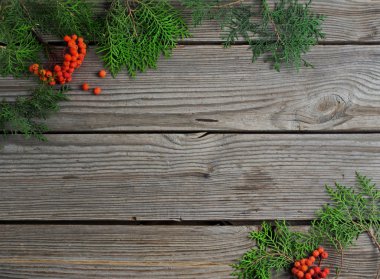 Farklı Noel süsleri 11