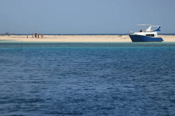 Safaga, Mısır: Soma Körfezi boyunca seyahat