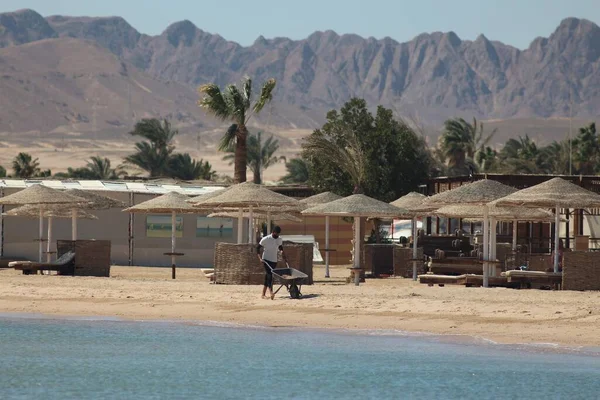 Safaga, Mısır: Soma Körfezi boyunca seyahat