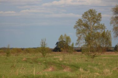 Baharda Seym Nehri 'nde