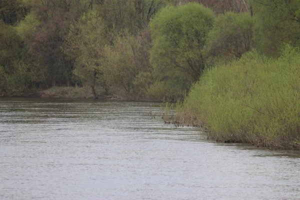 Wiosna Nad Rzeką Seym — Zdjęcie stockowe
