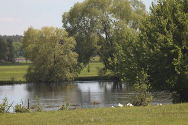 Mezinsky Ulusal Doğa Parkı, Ukrayna