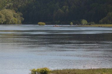 Mezinsky Ulusal Doğa Parkı, Ukrayna