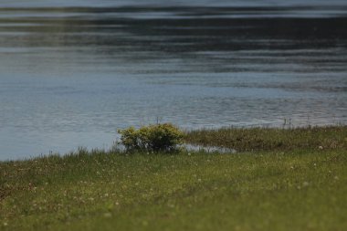 Mezinsky Ulusal Doğa Parkı, Ukrayna