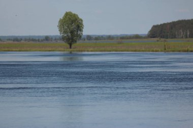 Mezinsky Ulusal Doğa Parkı, Ukrayna