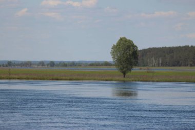 Mezinsky Ulusal Doğa Parkı, Ukrayna