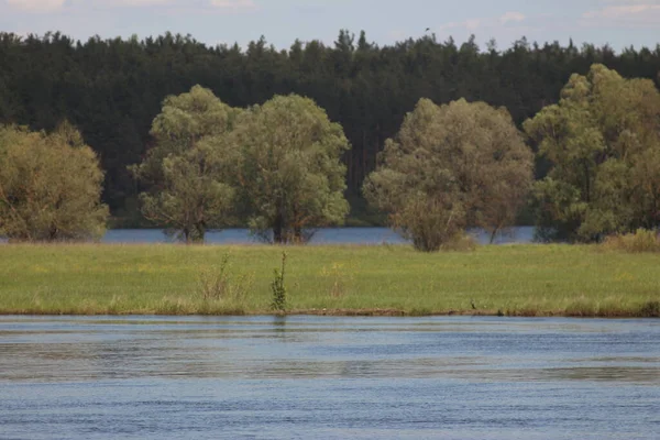 Mezinsky National Nature Park Ukraina — Stockfoto