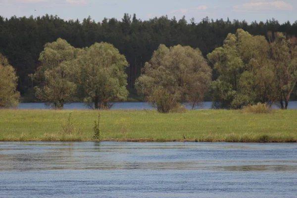 Taman Alam Nasional Mezinsky Ukraina — Stok Foto