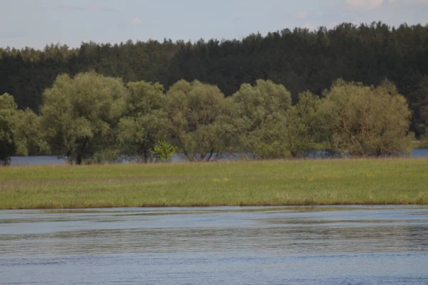 Parc Naturel National Mezinsky Ukraine — Photo