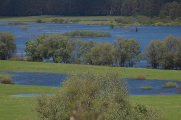 Mezinsky Nationaal Natuurpark Oekraïne — Stockfoto