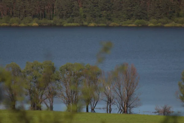 Narodowy Park Przyrody Mezinsky Ukraina — Zdjęcie stockowe