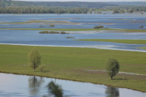 Parc Naturel National Mezinsky Ukraine — Photo