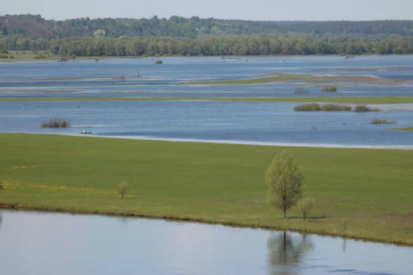 Parc Naturel National Mezinsky Ukraine — Photo