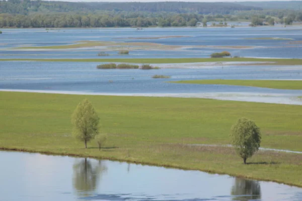 Parc Naturel National Mezinsky Ukraine — Photo