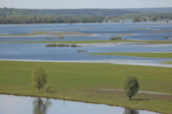 Parc Naturel National Mezinsky Ukraine — Photo