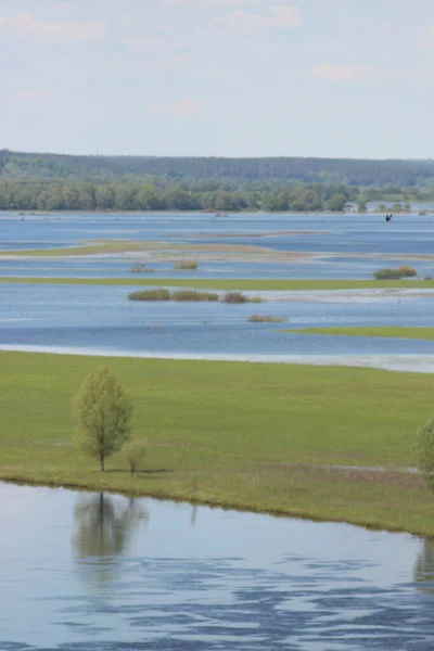 Parc Naturel National Mezinsky Ukraine — Photo