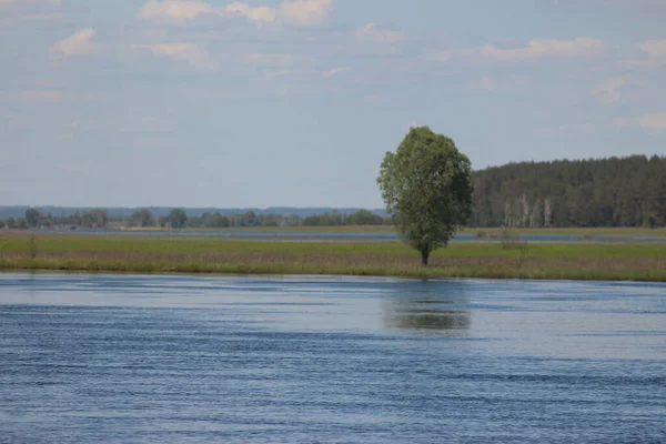 Mezinsky National Nature Park Ukraina — Stockfoto