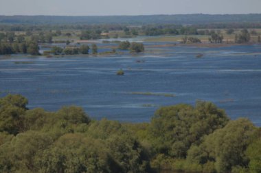 Mezinsky Ulusal Doğa Parkı, Ukrayna