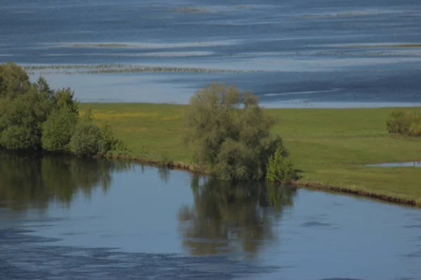 Taman Alam Nasional Mezinsky Ukraina — Stok Foto