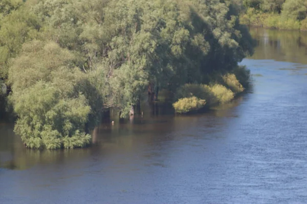 Parco Naturale Nazionale Mezinsky Ucraina — Foto Stock