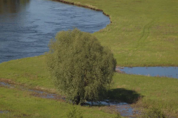 Mezinsky National Nature Park Ukraine — Stock Photo, Image