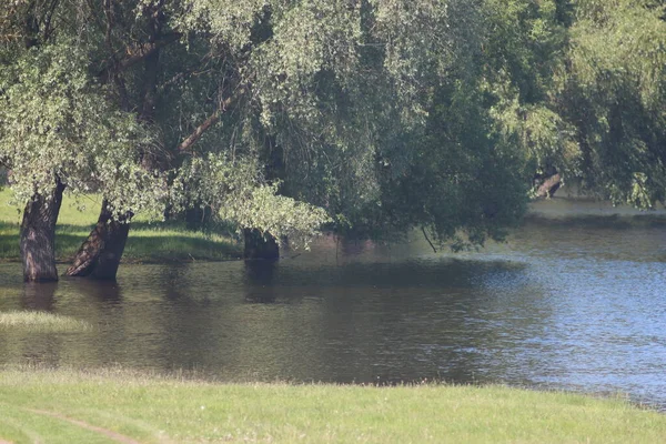 Narodowy Park Przyrody Mezinsky Ukraina — Zdjęcie stockowe