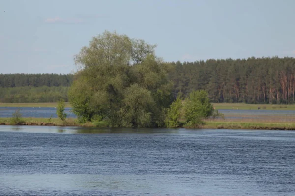 Mezinszkij Nemzeti Természetvédelmi Park Ukrajna — Stock Fotó