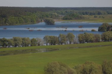Mezinsky Ulusal Doğa Parkı, Ukrayna