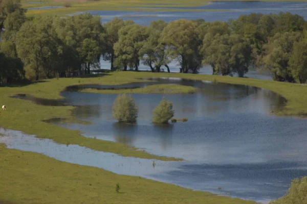 Parco Naturale Nazionale Mezinsky Ucraina — Foto Stock