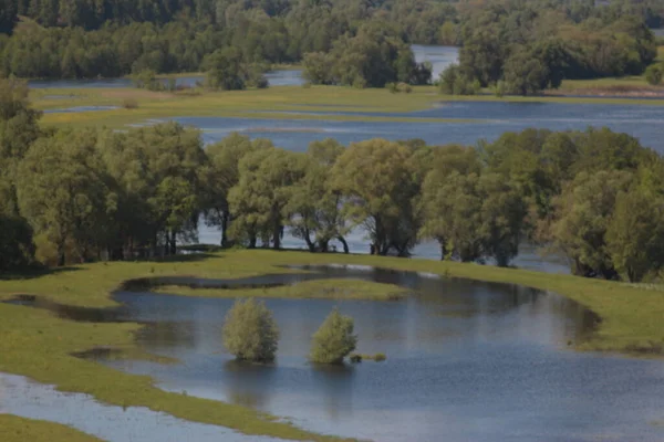 Parco Naturale Nazionale Mezinsky Ucraina — Foto Stock