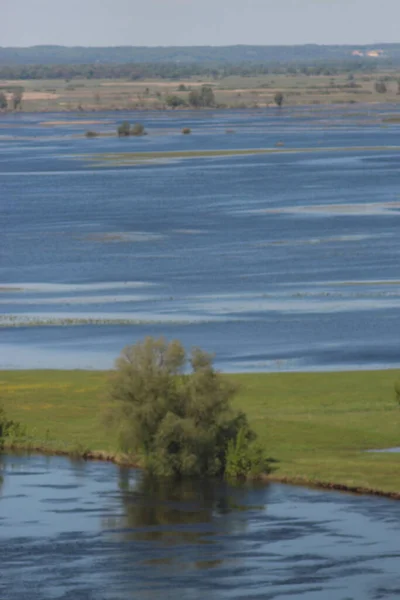 Mezinsky Nationalpark Ukraine — Stockfoto