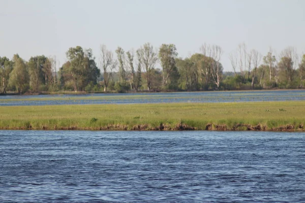 Mezinsky National Nature Park Ukraina — Stockfoto