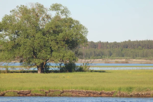 Parc Naturel National Mezinsky Ukraine — Photo