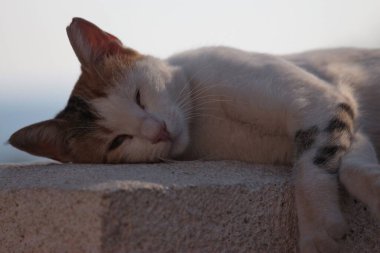 Kas, Antalya, Türkiye 'de tatiller