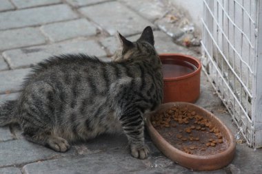Kas, Antalya, Türkiye 'de tatiller