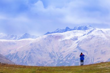 Fir Noel ağaçları kış in Rime ı ve kar kaplı