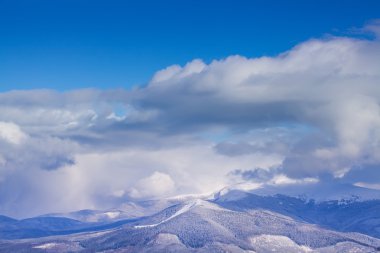Fir Noel ağaçları kış in Rime ı ve kar kaplı