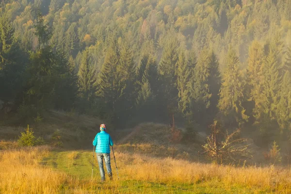 Chica con perro va a lo largo de un camino de montaña entre x bosque Bastón de trekking en la niebla de la mañana — Foto de Stock