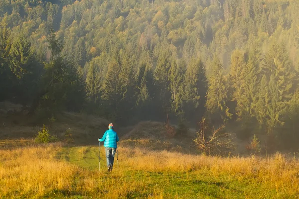 Chica con perro va a lo largo de un camino de montaña entre x bosque Bastón de trekking en la niebla de la mañana — Foto de Stock