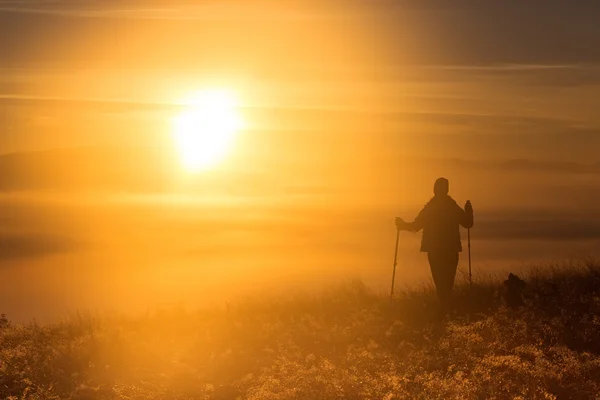 Silhouette of a girl with a lonely sport Trekking pole in the morning fog — Stock Photo, Image