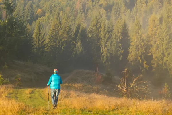 Chica con perro va a lo largo de un camino de montaña entre x bosque Bastón de trekking en la niebla de la mañana —  Fotos de Stock