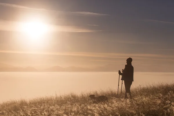 Silhouette coppia attiva innamorata di Trekking palo nella nebbia del mattino — Foto Stock