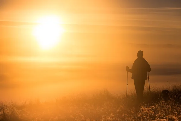 Silhouette di una ragazza con un bastone da trekking sportivo solitario nella nebbia mattutina — Foto Stock