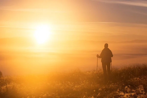 Yalnız spor Trekking direğe sabah sisin içinde bir kızla silüeti — Stok fotoğraf