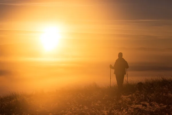 Silhuetten av en flicka med en ensam sport Trekking pol i på morgondimman — Stockfoto