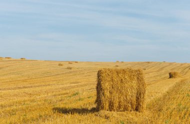 Ufukta saman ve demet demetleriyle sahadaki desteler