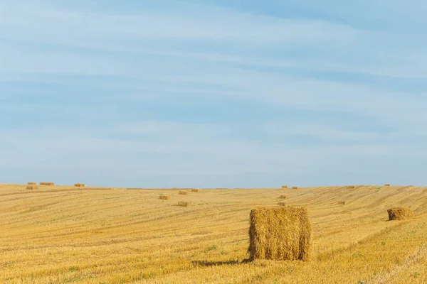 Pilhas Campo Com Palha Feixes Horizonte — Fotografia de Stock