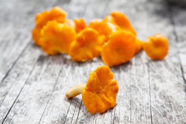 Chanterelle mantarları sonbaharda masada