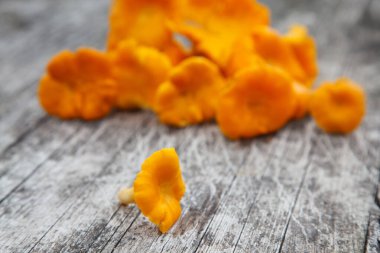 Chanterelle mantarları sonbaharda masada